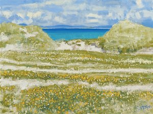 Glimt af Harris, 2014 (olie på lærred) af Charles Simpson
