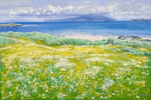 Machair, North End Iona, 2015 (olie på lærred) af Charles Simpson
