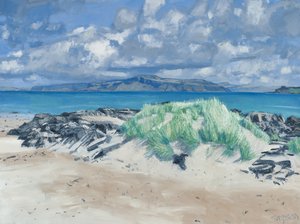 Rocks  Grasses, Iona, 2013 (olie på lærred) af Charles Simpson
