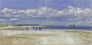 Walkers  Gannets, Bass Rock, 2016 (olie på lærred) af Charles Simpson