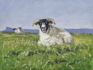 West Coast Sheep, 2017 (olie på lærred)