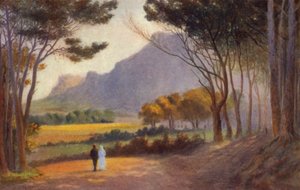 Cape Peninsula, Sydafrika: Alphen (farve litho) af Charles Stephen Meacham