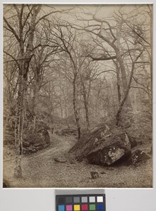 Fontainebleau, ca. 1870 (albumin print) af Charles Victor Famin