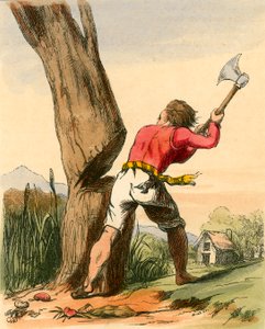 Jack skærer bønnestilken ned