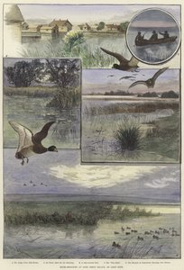 Andeskydning ved Long Point Island af Charles Whymper