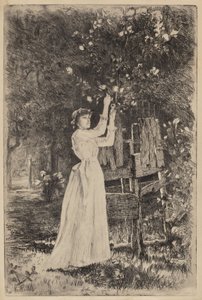 Uden titel (Kvinde plukker blomster)