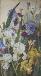 Iris, 1882 af Charlotte Hodder