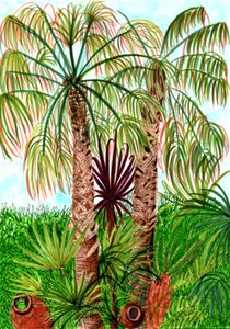 Barcelona Palms, 2017 (penselpenne) af Charlotte Orr
