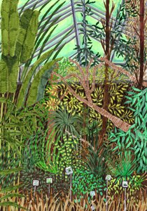 Botanisk Have, 2017 (pensel)