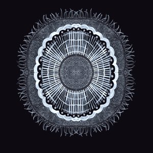 Plant Cell 0.2, 2019 (pen og blæk) af Charlotte Orr