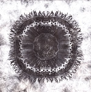 Planteceller, 2019 (tørpunktsætsning)