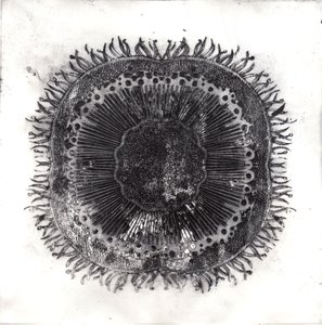 Planteceller, 2019 (tørpunktsætsning) af Charlotte Orr