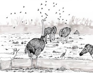 Safari 2, 2018 (blæk og akvarel) af Charlotte Orr