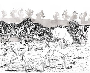 Safari 3, 2018 (blæk og akvarel) af Charlotte Orr