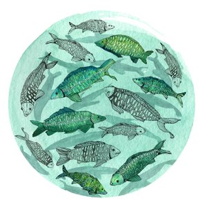 Small Fish Big Pond, 2018 (pen og blæk, akvarel og digital)