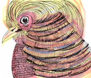 Tropical Bird, 2018 (pen, blæk og akvarel) af Charlotte Orr