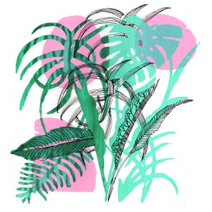 Tropical Plants, 2018 (screenprint) af Charlotte Orr