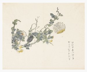 Sennepsfrøhave af Chen Chung Jan (after)