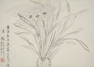Album af blomster af Chen Hongshou