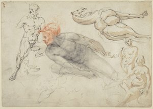 Studier af mandlige og kvindelige nøgenbilleder, en satyr og en kamel (recto); statue af Marcus Aurelius (verso) af Cherubino Alberti