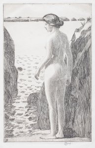 Appledore af Childe Frederick Hassam