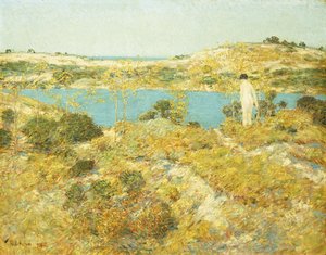 Klit pool af Childe Frederick Hassam