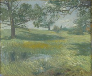 Meadows, ca. 1900-10 (pastel på lærred) af Childe Frederick Hassam