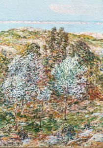 Forårssyn af Childe Frederick Hassam