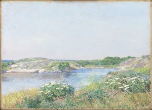 Den lille dam, Appledore