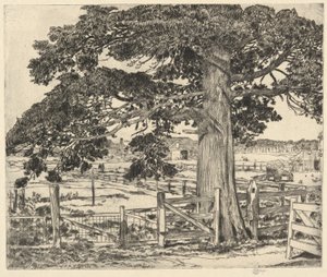 Big Cedar, Wainscott, L. I., 1929 af Childe Hassam