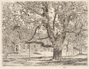 The Big Horse Chestnut Tree, Easthampton af Childe Hassam