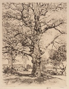 Wayside Inn Oaks i foråret af Childe Hassam