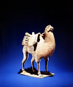 Kamel, midten til slutningen af det 6. århundrede, Northern Wei (386-534)-Northern Qi (550-77) dynasti (lertøj) (se også 394829) af Chinese School