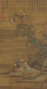 Mandarinænder under smartweed, Ming- eller Qing-dynastiet, 15.-18. århundrede