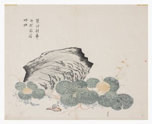Sennepsfrøhave af Chinese School