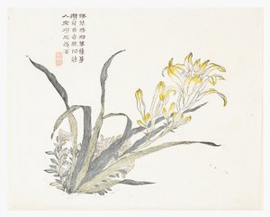 Sennepsfrøhave af Chinese School