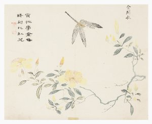 Sennepsfrøhave af Chinese School