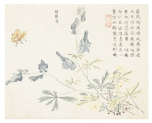 Sennepsfrøhave af Chinese School