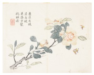 Sennepsfrøhave af Chinese School