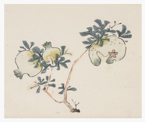 Ten Bamboo Series, 18th centurydani af Chinese School