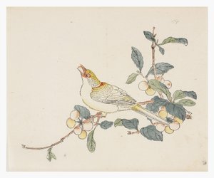 Ten Bamboo Series, 18th centuryani af Chinese School