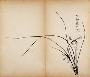 Ti Bamboo Studio Prints, 1643 (træblok) af Chinese School