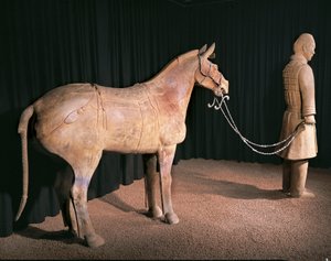 Terracotta-hærkriger, kejser Qin Shi Huangs mausoleum, 3. århundrede f.Kr. (foto) af Chinese School