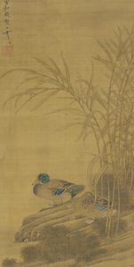 To ænder blandt siv ved vandkanten, Ming- eller Qing-dynastiet, 15.-18. århundrede