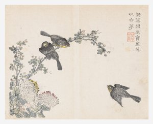 Sennepsfrøhave af Ching yu Chiu