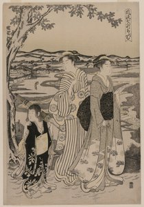 Papegøjen Omu (fra serien Seven Elegant Episodes from the Life of the Poetess Ono no Komachi)