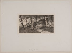Fra Maribo af Chr. Benzon