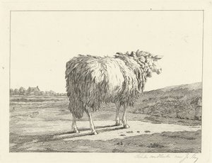 Får i et landskab af Christiaan Godfried Schutze van Houten