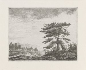 Træ i et hedelandskab af Christiaan Wilhelmus Moorrees
