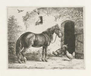 Hest med grime